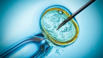 IVF Embriyo Transferinden Sonra Gebelikte İlk İşaretler