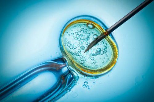 Implantation after In vitro fertilization